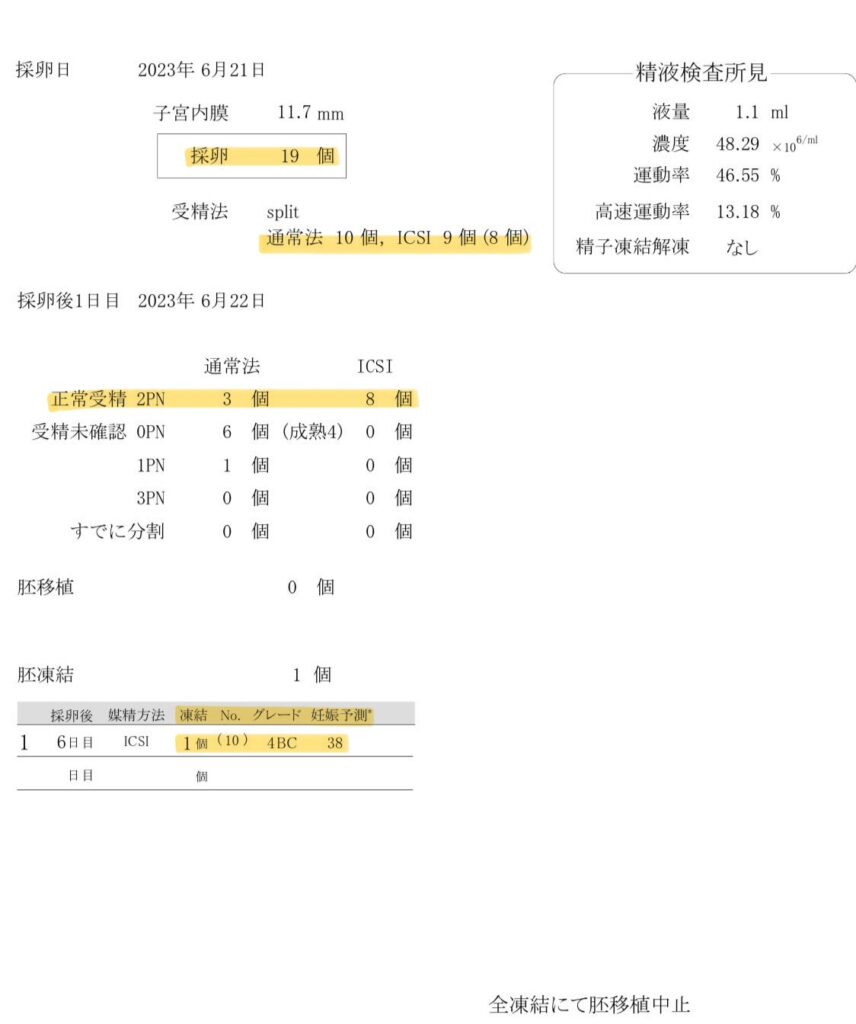 202306採卵結果