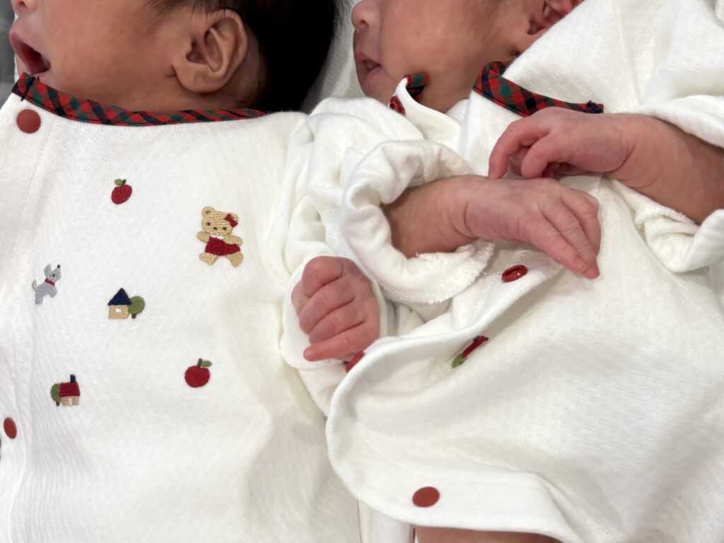 ギャンなきする双子