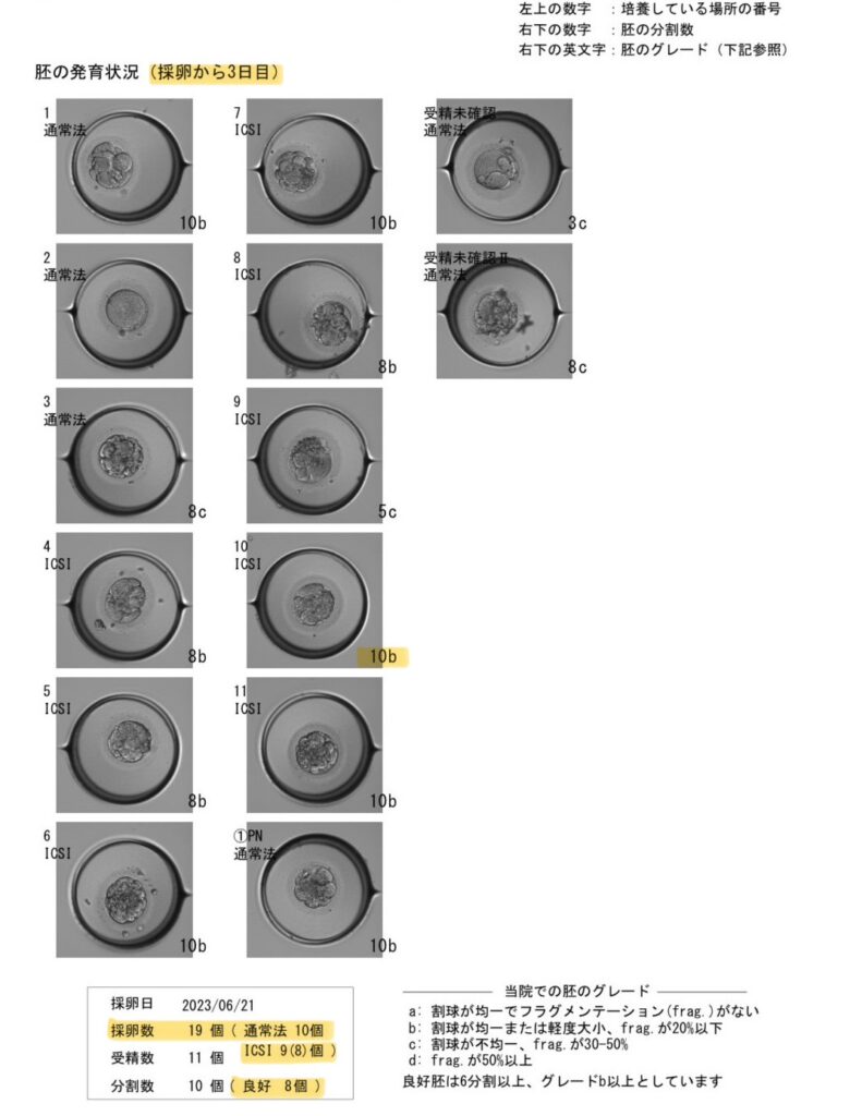 202306胚の発育状況