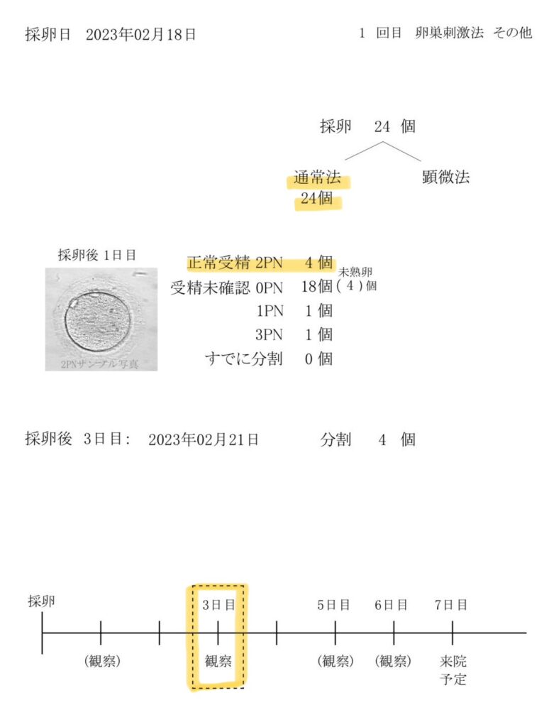 202302採卵結果