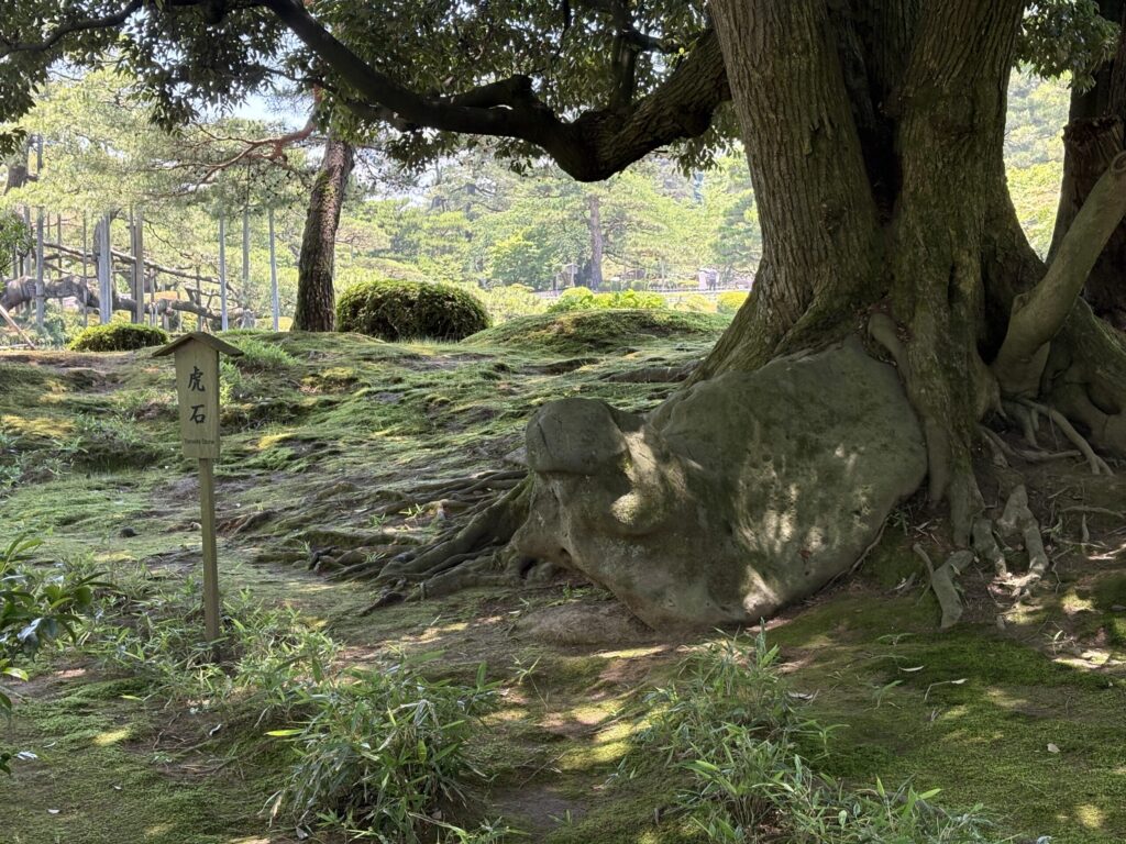 兼六園(虎石)